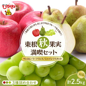 【ふるさと納税】 2026年産 東根秋果実満喫セット 3種詰め合わせ 約2.5kg |りんご サンふじ 西洋内 洋なし ラフランス ぶどう シャインマスカット マスカット 果物 フルーツ くだもの 取り寄せ ご当地 特産 産地 直送 送料無料 山形県 東根市