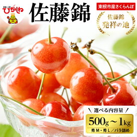 【ふるさと納税】2026年 さくらんぼ 佐藤錦 バラ詰め 選べる ( 500g 600g 700g 720g 1kg ) サクランボ フルーツ 果物 くだもの 箱入り 化粧箱 バラ詰め 贈り物 ギフト 贈答 冷蔵 期間限定 冷蔵配送 先行予約 送料無料 東北 山形県 東根市【2026/6/5～6/20順次出荷予定】