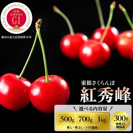 【ふるさと納税】2026年 GI 東根 さくらんぼ「紅秀峰」 ( 選べる内容量 : 鏡詰め : 300g / バラ詰め : 500g 700g 1kg )/ サクランボ フルーツ 果物 期間限定 冷蔵配送 先行予約 箱入り 特産 産地 直送 送料無料 東北 山形 東根市【2026/6/10～順次出荷予定】