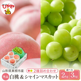 【ふるさと納税】2026年 先行予約 白桃 & シャインマスカット 詰め合わせ ( 選べる : 約 2kg / 約 3kg )| 桃 品種おまかせ ぶどう 葡萄 マスカット フルーツ くだもの 果物 セット 箱入り 化粧箱 期間限定 大容量 先行予約 取り寄せ ご当地 特産 産地 直送 送料無料