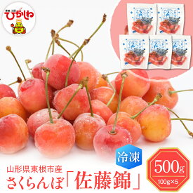 【ふるさと納税】 急速冷凍 さくらんぼ 佐藤錦 ( 100g × 5袋 )/ フルーツ 果物 くだもの さとうにしき 冷凍さくらんぼ 冷凍果物 冷凍 フローズン 冷凍便 デザート 冷凍フルーツ 化粧箱入 贈り物 ギフト 贈答 プレゼント 国産 山形県 東根市