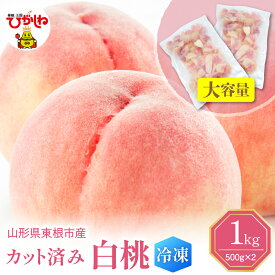 【ふるさと納税】【急速冷凍】 白桃 カット済み ( 100g × 5袋 / 500g × 2袋 )| 冷凍桃 冷凍フルーツ 桃 ピーチ フルーツ 果物 くだもの デザート おやつ アイス フローズン スムージー シェイク 冷凍便 冷凍 冷凍食品 送料無料 国産 山形県 東根市