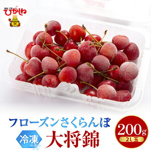 yӂ邳Ɣ[Łzt[Y  叫 2L 200g (Iׂ: 200g 1pbN / 2pbN )/ Ⓚ Ⓚt[c Ⓚ }Ⓚ TN{ t[c ʕ  fU[g V[x