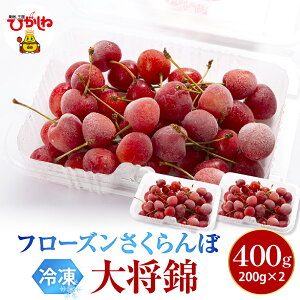 �y�ӂ邳�Ɣ[�Łz�t���[�Y�� �������� �叫�� 2L�� 200g (�I�ׂ�: 200g 1�p�b�N / 2�p�b�N )/ �Ⓚ �Ⓚ�t���[�c �Ⓚ�������� �}���Ⓚ �T�N�����{ �t���[�c �ʕ� �������� �f�U�[�g �V���[�x