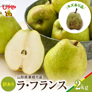 yӂ邳Ɣ[Łzy 2025NY s\ z EtX 󂠂 2kg / tX m miV t[c ʕ  Yn Ԍ Yi  O { k R` s 