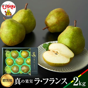 yӂ邳Ɣ[Łz2025NY  p  tX 2kg ^̉ʎ / mȂ m miV m t[c ʕ  Ԍ e ①z s\  O n Y Yn