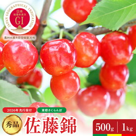 【ふるさと納税】【 2026年産 先行予約 】さくらんぼ 佐藤錦 秀品 ( 選べる内容量 500g / 1kg )/ サクランボ フルーツ 果物 くだもの 小分け 箱入り 化粧箱 特産 産地直送 送料無料 お取り寄せ 期間限定 大容量 冷蔵配送 山形県 東根市