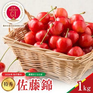 yӂ邳Ɣ[Łz 2026NY  ^̍  ( Iׂe 500g / 1kg ) ol / TN{ t[c ʕ    ϔ s\  O n 