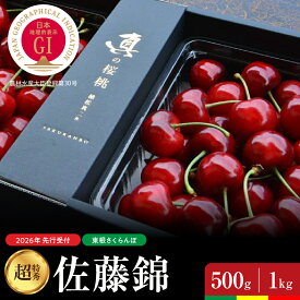 【ふるさと納税】【 2026年産 先行予約 】さくらんぼ 真の桜桃 佐藤錦 ( 選べる内容量 : 500g / 1kg ) 超特秀サクランボ フルーツ 果物 くだもの 小分け 箱入り 化粧箱 お取り寄せ グルメ ご当地 特産 産地 直送 送料無料 期間限定 大容量 冷蔵配送 山形県 東根市