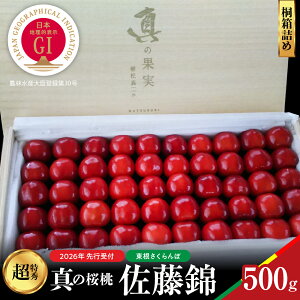 yӂ邳Ɣ[Łzy2026NY s\z GI ^̍  ( Iׂ : 300g / 500g ) ˔l /  TN{ `F[ t[c ʕ  Ԍ e ①z