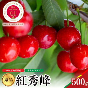 【ふるさと納税】【2026年産 先行予約】 GI東根 さくらんぼ 紅秀峰 秀品 500g / サクランボ チェリー フルーツ 果物 くだもの 果樹 果物 期間限定 大容量 冷蔵配送 お取り寄せ グルメ ご当地 特