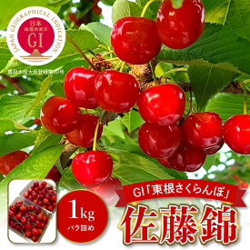 【ふるさと納税】【 数量限定 】GI「 東根 さくらんぼ 」 佐藤錦 1kg 秀品 Lサイズ バラ詰め フルーツ 果物 くだもの サクランボ チェリー 小分け 箱入り 化粧箱 期間限定 冷蔵配送 大容量 特産 産地 直送 東北 山形県 東根市 6/17(月)～6/30(日)順次出荷