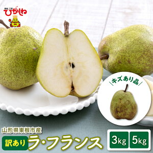 yӂ邳Ɣ[Łzy 2025NY s\ z 󂠂 EtX ƒp ( Iׂ : 3kg / 5kg )/ tX m mȂ miV m ʕ  t[c H {  KiO Yn n 