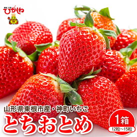 【ふるさと納税】【 令和8年産 先行予約 】 神町 いちご ( とちおとめ ) 12粒～15粒 / 苺 イチゴ ストロベリー フルーツ 果物 くだもの 期間限定 冷蔵配送 先行予約 お取り寄せ グルメ ご当地 特産 産地 直送 農家直送 産地直送 送料無料 山形県 東根市