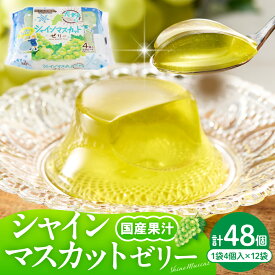【ふるさと納税】フルーツゼリー 48個 (1袋4個入×12袋)《 選べる : みかん / 白桃 / シャインマスカット 》| ミカン 蜜柑 桃 もも ピーチ ぶどう フルーツ デザート 果物 くだもの おやつ お取り寄せ 送料無料 人気 惣菜・加工品 山形県 東根市