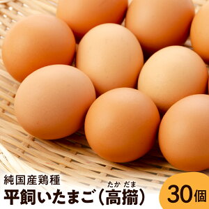yӂ邳Ɣ[Łz ܂ (  --) 30 /  ^}S ʎq 30  { V{ VN Z ԋ ͂ TKG eq Ic lC  R` s