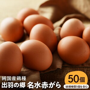 yӂ邳Ɣ[Łz ܂ oH̋ Ԃ 50 /  ^}S ʎq 50  { V{ VN Z ԋ ͂ TKG eq Ic lC  R` s