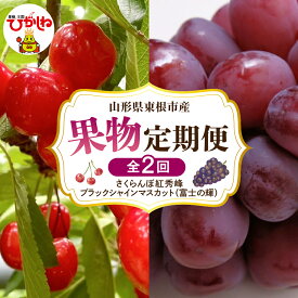 【ふるさと納税】［ 定期便 全2回 ］ 2026年 先行予約 果物定期便 ( さくらんぼ ブラックシャインマスカット ) 紅秀峰 サクランボ 富士の輝 ぶどう マスカット フルーツ 果物 くだもの お取り寄せ グルメ ご当地 特産 産地 直送 送料無料 人気 東北 山形 東根市