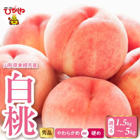 【ふるさと納税】2026年産 白桃 ( 選べる : 1.5kg / 2kg / 3kg / 5kg )( 柔らかめ / 硬め )/ 桃 もも モモ ピーチ 白桃 はくとう フルーツ 果物 くだもの 期間限定 大容量 冷蔵配送 先行予約 農家直送 産地直送 お取り寄せ グルメ ご当地 特産 産地直送 山形県東根市