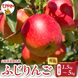 【ふるさと納税】 2025年産 ふじ りんご ( 選べる : 1.5kg 2kg 3kg 5kg ) 秀品 / 林檎 リンゴ ふじりんご ふじリンゴ フジ フルーツ 果物 くだもの 期間限定 大容量 配送 先行予約 農家直送 産地直送 お取り寄せ グルメ ご当地 特産 産地直送 山形県東根市