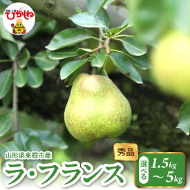 【ふるさと納税】 2025年産 ラ・フランス ( 選べる : 1.5kg 2kg 3kg 5kg ) 秀品 / ラフランス 洋梨 洋なし 西洋梨 フルーツ 果物 くだもの 期間限定 大容量 配送 先行予約 農家直送 産地直送 お取り寄せ グルメ ご当地 特産 産地直送 山形県東根市