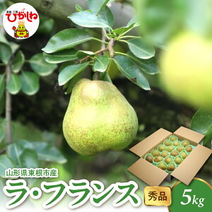 yӂ邳Ɣ[Łz 2025NY EtX ( Iׂ : 1.5kg 2kg 3kg 5kg ) Gi / tX m mȂ m t[c ʕ  Ԍ e z s\ _ƒ Yn 