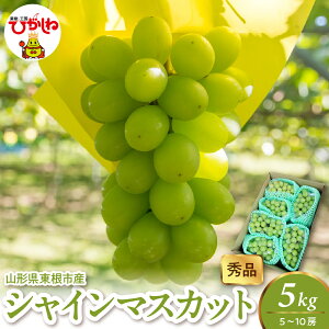 yӂ邳Ɣ[Łz 2025NY VC}XJbg ( Iׂ :600g 1.2kg 2kg 5kg ) Gi / Ԃǂ uhE  }XJbg t[c ʕ  Ԍ e z s\ _ƒ Yn 