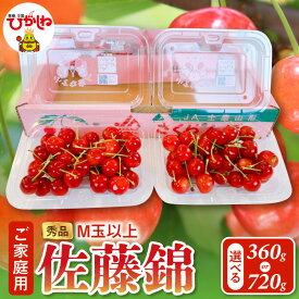 【ふるさと納税】≪ご家庭用≫ 2026年 さくらんぼ 佐藤錦 バラ詰め ( 選べる : 約360g 約720g )| サクランボ フルーツ 果物 くだもの バラ詰め 冷蔵 期間限定 冷蔵配送 先行予約 送料無料 東北 山形県 東根市