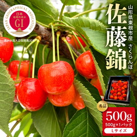 【ふるさと納税】 2026年産 GI東根 さくらんぼ 佐藤錦 秀品 500g ( 500g × 1パック )| サクランボ フルーツ 果物 くだもの 小分け 箱入り 化粧箱 特産 直送 送料無料 期間限定 大容量 冷蔵配送 先行予約 人気 おすすめ 山形県 東根市