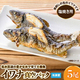 【ふるさと納税】【 生のイワナ をお届け 】 イワナ 5尾 真空 冷凍 パック ※塩焼き用※/ 魚 魚介 冷凍便 冷凍パック 真空パック 生 岩魚 いわな 塩焼き 焼き魚 焼魚 串 串刺し 串焼き 1尾丸ごと BBQ 酒の肴 国産 送料無料 山形県 東根市