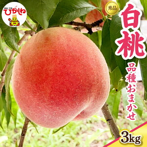 yӂ邳Ɣ[Łz2026NY  i ܂ Gi ( Iׂe : 2kg / 3kg )|   R`  ʕ t[c s\ ①z Yn Ԍ Yi  O k R