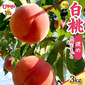 yӂ邳Ɣ[Łz2026NY  i ܂ Gi ( Iׂe : 2kg / 3kg ) |   R`  ʕ t[c s\ ߘa8NY ①z Yn Ԍ Yi  O