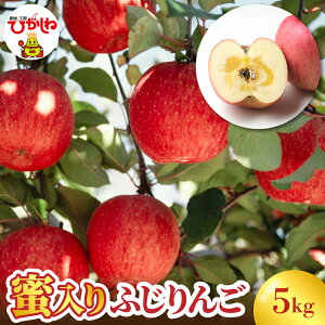 yӂ邳Ɣ[Łz   ӂ ( Iׂe : 3kg / 5kg )/ ь Abv t[c ʕ  s\ e H { 퉷ۑ Ԍ  R` s