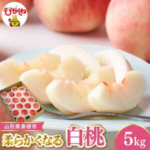 �y�ӂ邳�Ɣ[�Łz�ߘa8�N �_�炩���Ȃ� ���� ( �I�ׂ� : 1.5kg�`5kg )| ���� ���� �s�[�` �t���[�c �ʕ� �������� ��s�\�� ������ ���ϔ� ���Ԍ��� �①�z�� ������ �O���� �Y�n���� ������