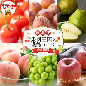 yӂ邳Ɣ[Łzy 2026N s\ 6  z ʎ\R[X (2026N6{X^[g)/ ʕ  t[c     HP Ԃǂ VC}XJb