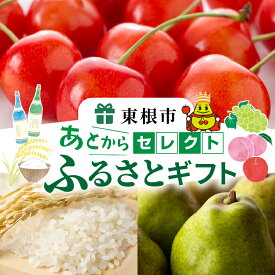 【ふるさと納税】 あとからセレクト 【ふるさとギフト】 寄附1,000円〜30万円相当 / あとから選べる ギフト さくらんぼ ラ・フランス 西洋梨 フルーツ お米 山形県 東根市