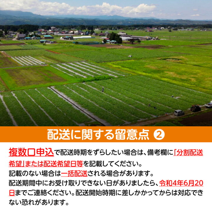楽天市場】【ふるさと納税】尾花沢産スイカ2Lサイズ(約7〜8kg)×2玉 7月下旬〜8月中旬頃発送 令和5年産 尾花沢スイカ すいか 西瓜 送料無料 観光物産 K22※沖縄・離島への配送不可 : 山形県尾花沢市 楽天市場】【ふるさと納税】尾花沢産スイカ2Lサイズ(約7〜8kg)×2玉 7月下旬〜8月中旬頃発送 令和5年産 尾花沢スイカ すいか 西瓜 送料無料 観光物産 K22※沖縄・離島への配送不可 : 山形県尾花沢市