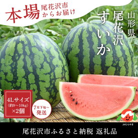 楽天市場 ふるさと納税 フルーツ 果物 食品 の通販