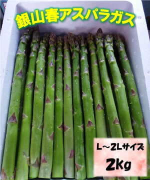 返礼品画像