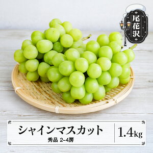 yӂ邳Ɣ[Łzs\ VC}XJbg Gi 1.4kg (2`4[x) R`Y t[c ʕ  Ԃǂ  uhE 2025NY ߘa7NY |Y sb-busmx1400