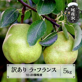 【ふるさと納税】先行予約 訳あり ラ・フランス 無印品 約5kg (10~20個程度) 11月上旬~下旬頃発送 山形県産 フルーツ 果物 くだもの 西洋梨 洋梨 梨 ラフランス 2026年産 令和8年産 佐竹物産 sb-laxxw5-b※沖縄・離島への配送不可