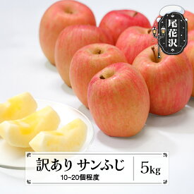 【ふるさと納税】訳あり りんご サンふじりんご 5kg 無印品 11月中旬~2月下旬頃発送 山形県産 フルーツ 果物 くだもの リンゴ 2026年産 令和8年産 佐竹物産 sb-risfw5-b※沖縄・離島への配送不可