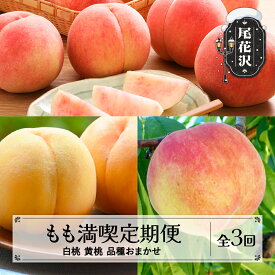 【ふるさと納税】先行予約 フルーツ定期便 全3回 もも満喫定期便 白桃 黄桃 品種おまかせ 秀品 2026年8月上旬頃~発送開始 2026年産 令和8年産 佐竹物産 sb-ftmox3-b※沖縄・離島への配送不可