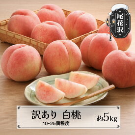 【ふるさと納税】先行予約 訳あり 桃 白桃 無印品 約5kg (10~25個程度) 8月上旬~10月中旬頃発送 山形県産 フルーツ 果物 くだもの もも モモ 2026年産 令和8年産 佐竹物産 sb-mohtw5-b※沖縄・離島への配送不可