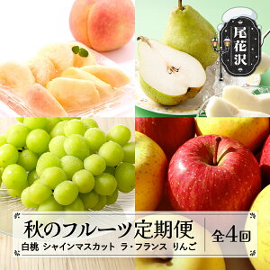 yӂ邳Ɣ[Łzs\ S4 R` H̃t[c  VC}XJbg EtX  ߘa8NY 2026NY R`Y  Eւ̔zs ns-ft4xx-b