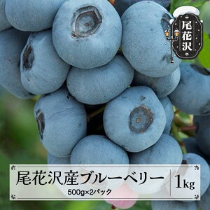 yӂ邳Ɣ[ŁzԑY Ƃꂽ n u[x[ ʎ 1kg 500g×2pbN 7{~{ ߘa8NY 2026NY t[c ʕ Yn R` ԑs  ws kb-bbxxx1