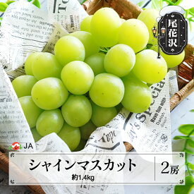 【ふるさと納税】先行予約 シャインマスカット 約1.4kg 2房 令和8年産 2026年産 9月中旬~10月下旬頃発送 ぶどう ブドウ 果物 フルーツ 山形県産 送料無料 ja-busmx1400※沖縄・離島への配送不可