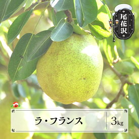 【ふるさと納税】先行予約 ラ・フランス 約3kg 秀以上 11月上旬~11月中旬頃発送 令和8年産 2026年産 ラフランス 梨 洋梨 果物 フルーツ 山形県産 送料無料 ja-laxxx3-b※沖縄・離島への配送不可