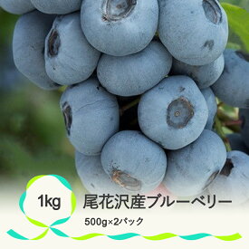 【ふるさと納税】尾花沢産とれたて完熟ブルーベリー 生果実 1kg 500g×2 令和6年産 2024年産 送料無料 着日指定不可 ※沖縄・離島への配送不可