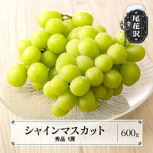 yӂ邳Ɣ[Łzs\ VC}XJbg Gi 600g 1[ 2025NY ߘa7NY  t[c ʕ Ԃǂ R` { fU[g 炲ƐHׂ ns-busmx600Eւ̔zs